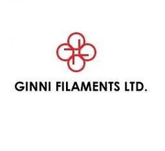 Ginni Filaments